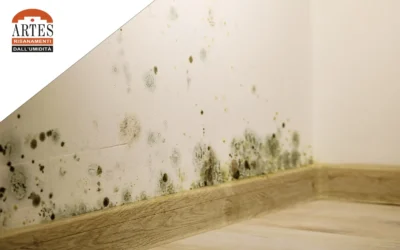 Muffa in casa: guida completa a cause, rischi per la salute e soluzioni definitive